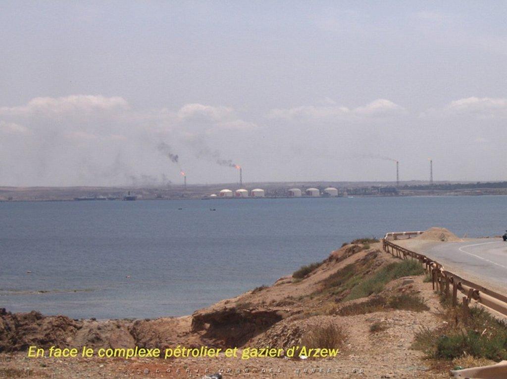 ORAN MAI 2008 3476_arzew.jpg